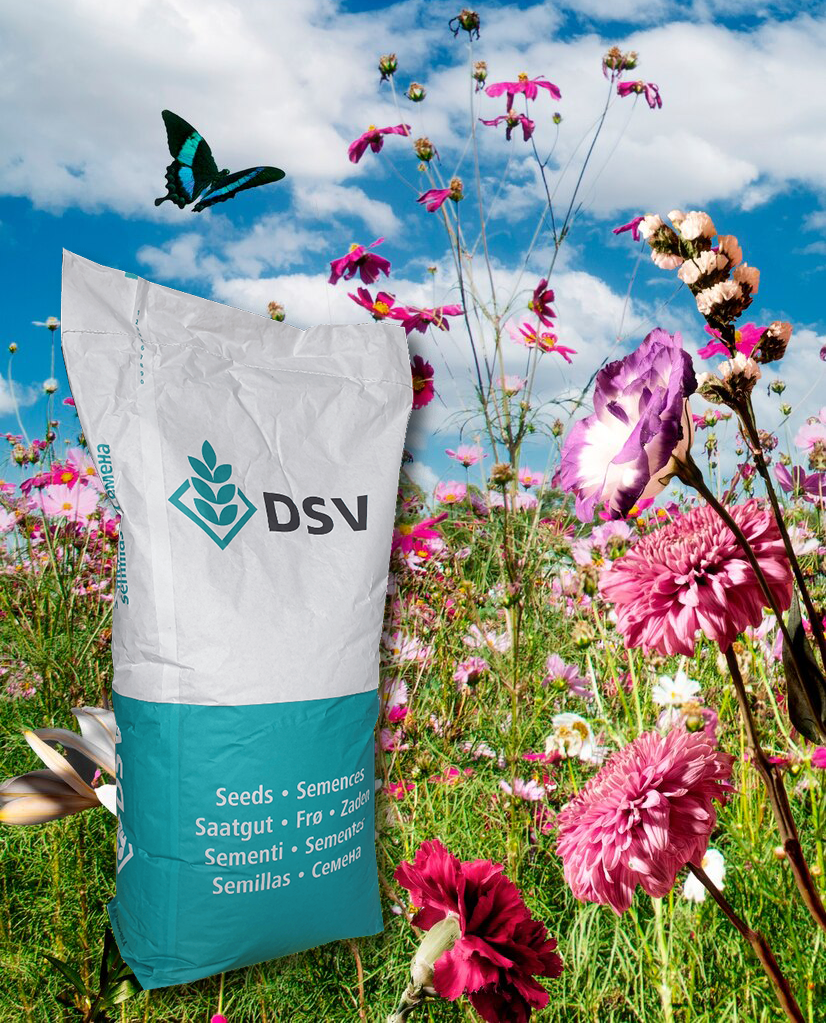 Rasensamen "Bienenwiese & Wildblumen" in Profi-Qualität von DSV, 10kg